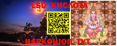 каннабис Будённовск