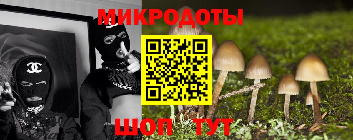 Псилоцибиновые грибы Cubensis Дюртюли